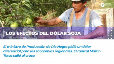 Los efectos del dólar soja, la palabra de Carlos Banacloy y Martín Tetaz