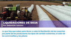 Liquidaciones de soja, por Sebastián Salvaro