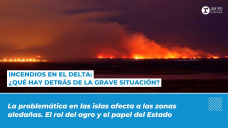 Incendios en el Delta: ¿qué hay detrás de la grave situación?