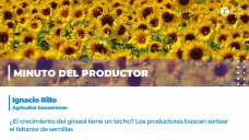 Minuto del productor, Ignacio Rillo, agricultor bonaerense