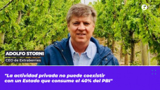 Adolfo Storni - CEO de Extraberries