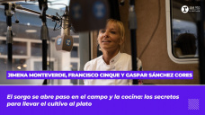 Jimena Monteverde, Francisco Cinque y Gaspar Sánchez Cores 