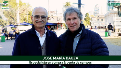 La nueva Ganadería empuja el valor de los Campos y cambia el ánimo inversor; con Rolo Bauzá - martil...