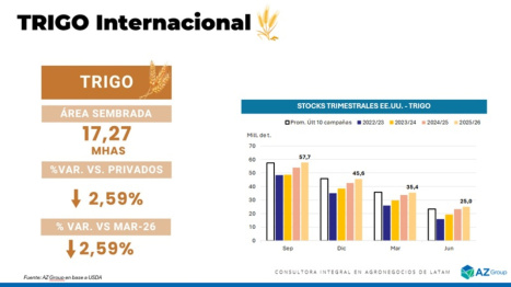 El Trigo finalizó la semana en Chicago con saldo positivo, por recorte del área sembrada, ¿cómo segu...