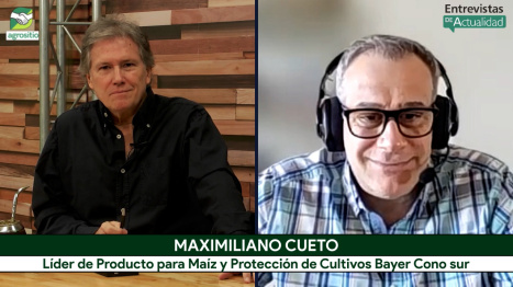 Qué híbridos de Maíz eligen los Productores y cómo cerrar la brecha del 40% de rinde; con M. Cueto -...