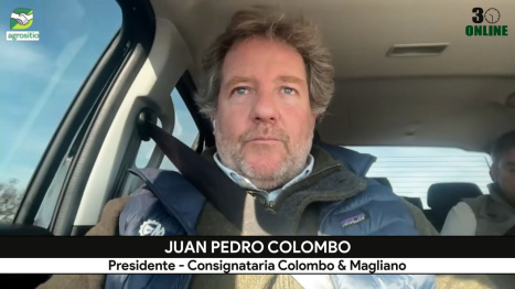 Precios ganaderos: ¿cómo influyen baja de inflación, mayor exportación, y consumo?; con J. P. Colomb...