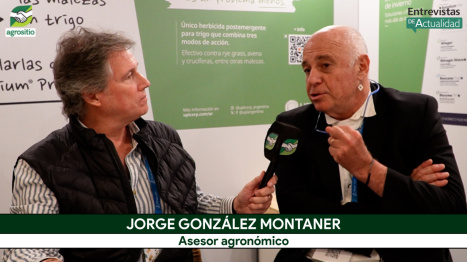 Fertilización y arrendamientos: claves de González Montaner para la campaña de Trigo y Cebada
