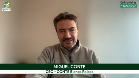 Inversión en Campos: elegir entre Argentina, Uruguay y Paraguay, ¿dónde hay mejores oportunidades?; ...