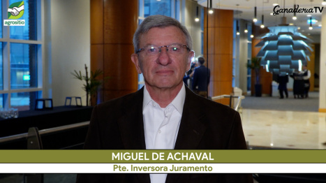 El desafío de engordar novillos de + de 450 kilos para aumentar la oferta, ¿lo bancará la gente?; co...