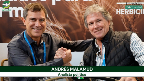 Andrés Malamud: el escenario mundial abre oportunidades inesperadas para Argentina