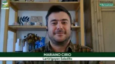 Insumos: Urea a US$ 500, ¿más fertilización?,  y panorama para maíz, soja y girasol; con M. Cirio - Lartirigoyen y Cía.