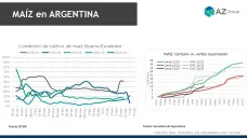 Maíz: Preocupan los cultivos afectados por la chicharrita; con Lorena D´Angelo - Clínica de Granos