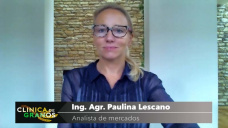 Soja: se le acab la fuerza o sigue?, con Paulina Lescano - Clnica de Granos