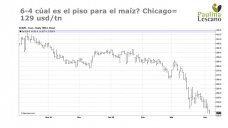 Maz: a pesar de todo, los precios locales siguen con premio vs Chicago, con Paulina Lescano - Clnica de Granos