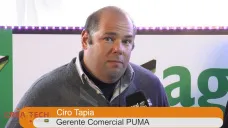 TV: 