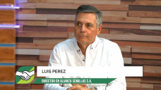 Cmo ser un emprendedor exitoso del Agro con 4 amigos y facturar 50 Mill de dlares; con Luis Perez