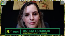 Altos rindes, precios flojos: cómo defender el margen por hectárea; con Mariela Brandolin - analista