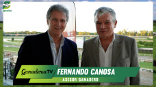 Ganadería en máxima potencia: Fernando Canosa y un Boom que va a durar muchos años más