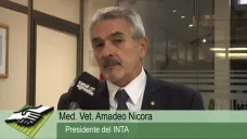 TV: 