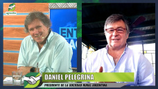¿Cómo reaccionaría el Campo si el Gobierno sube retenciones?; con Daniel Pelegrina - Pres. SRA