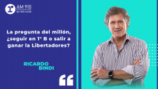 Columna Ricardo Bindi: La pregunta del millón, ¿seguir en 1° B o salir a ganar la Libertadores?