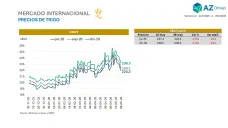El dilema del Trigo 2026/27: ¿La rebaja de retenciones modificará los planes del productor?, con Clara Treachi - Clínica de Granos
