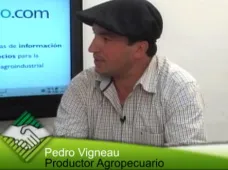 TV: 