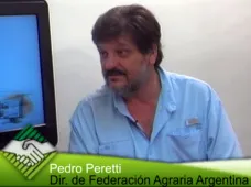 TV: ¿A donde va a parar la ganadería y la carne?, con Pedro Peretti de Fed. Agraria