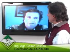 TV: 