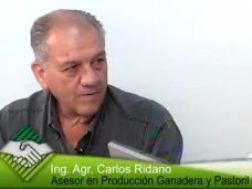 TV: Pastoreo racional y cómo incrementar la carga animal en época de sequía- Lic. Carlos F. Ridano