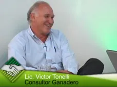 TV: 
