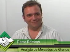 TV: 