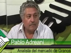 TV: ¿Qué se dijo en el Outook de Washington sobre los precios de Soja y Maíz?, con Pablo Adreani