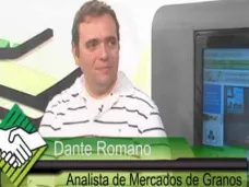 TV: 