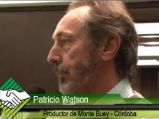 TV: “El maíz sembrado temprano fue desastroso en el sureste cordobés” - P. Watson, productor