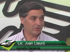 TV: ¿Cómo cerrar los números Ganaderos con precios 24% menores que Nov.´10?; con Juan Llauró
