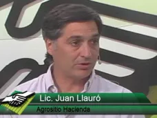 TV: ¿Cómo cerrar los números Ganaderos con precios 24% menores que Nov.´10?; con Juan Llauró