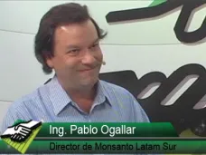 TV: 