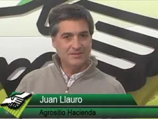 TV: ¿Cómo amortiguar en el campo el bajón en el precio de los Terneros?; con J. Llauró