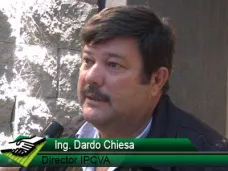 TV: “Va a ser otra vez un año donde el productor de cría va a ser el castigado”; con D. Chiesa
