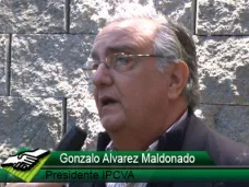 TV: “La ganadería tiene que volver al porcentaje histórico; 75% consumo interno y 25% exportación”; con G. A. Maldonado