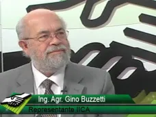 TV: ¿Qué propuestas nos trae el IICA para mejorar la producción y el cooperativismo del campo?; con Gino Buzzetti