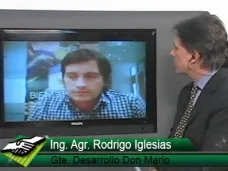 TV: 