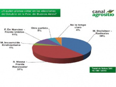 TV: ¿Qué van a votar los productores en la Pcia. de Buenos Aires?
