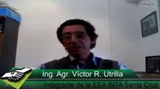 TV: ¿Se pueden hacer forrajes con cultivos de invierno en Santa Cruz y Tierra del Fuego?; con V. R. Utrilla