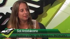 TV: 