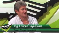 TV: ¿Cómo está el mercado y los precios de forrajeras y verdeos?; con E. Baya Casal