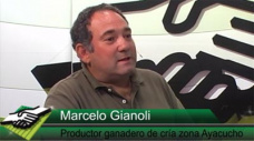 TV: ¿Por qué un Ganadero supereficiente de 5 cab. / ha. está por dedicarse a otra cosa?