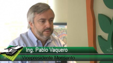 TV: ¿Tecnologías que permiten sembrar 7 híbridos con diferentes densidades?; con P. Vaquero