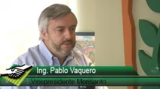 TV: ¿Tecnologías que permiten sembrar 7 híbridos con diferentes densidades?; con P. Vaquero